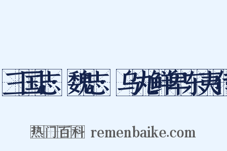 三国志·魏志·乌丸鲜卑东夷传是什么意思的图片